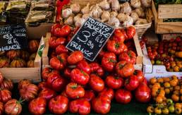 Ripe tomatoes and garlic