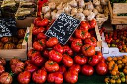 Ripe tomatoes and garlic